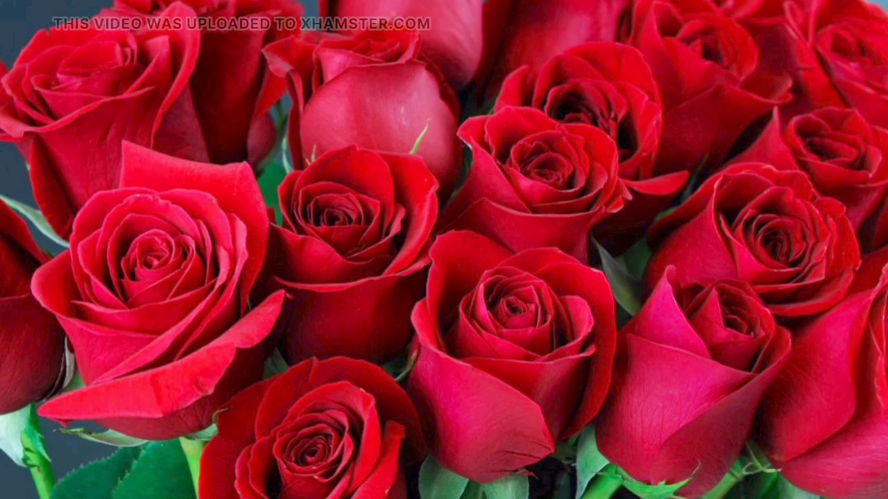Desi Mazaa background